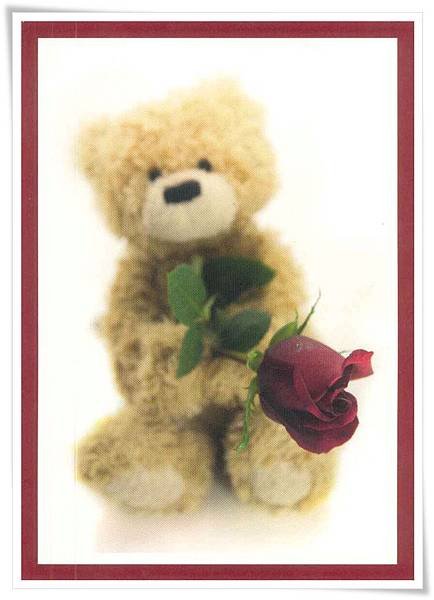 teddy with rose