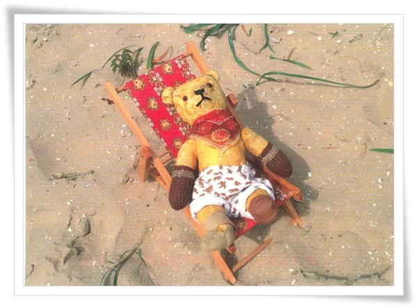 beach teddy