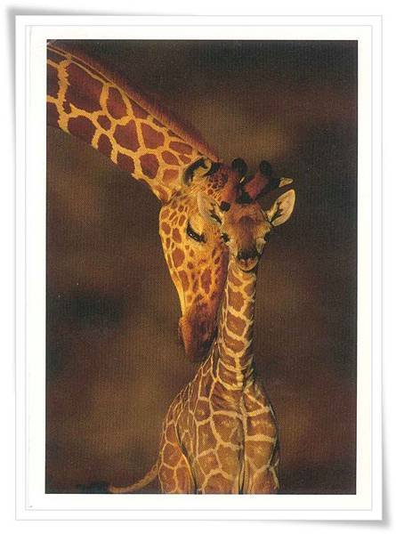 giraffe greeting