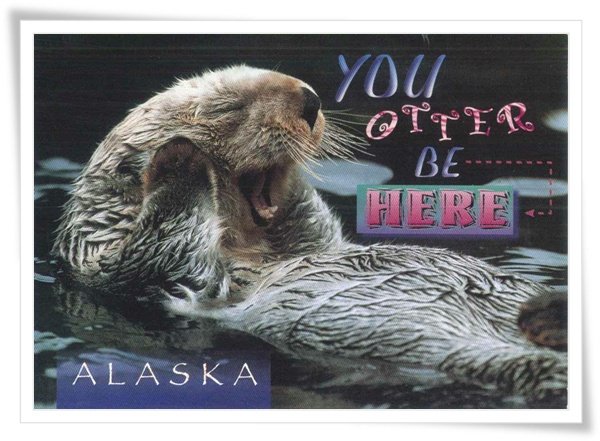 alaska&apos;s sea otter