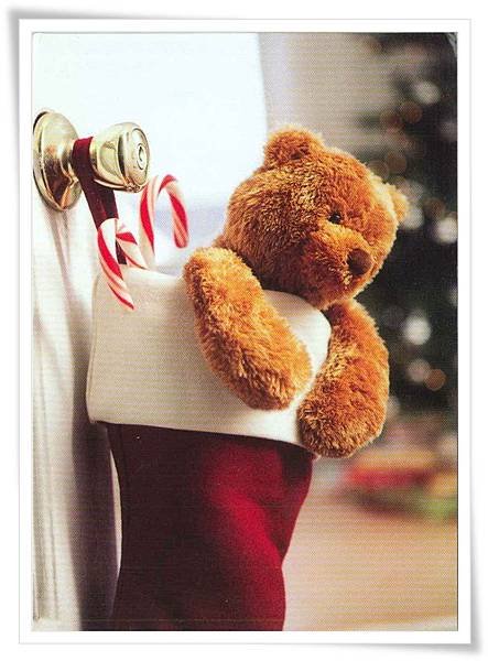 christmas bear