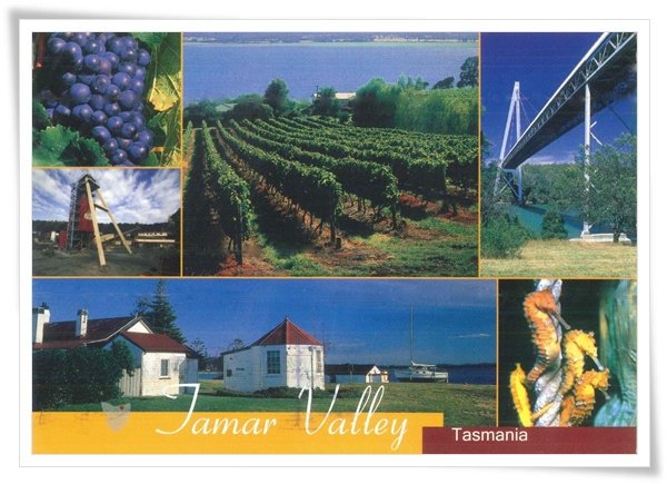 tamar valley.jpg