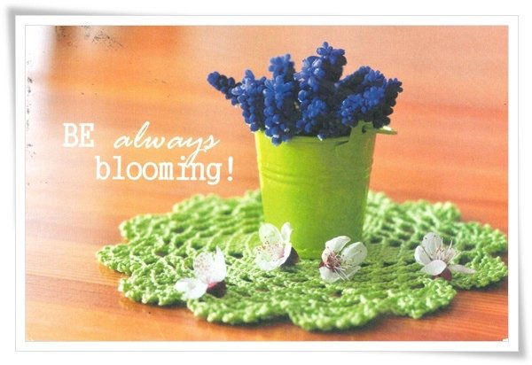 be always blooming.jpg