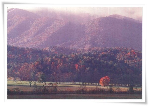 great smoky mountains national park.jpg