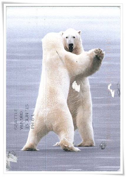 two polar bears.jpg