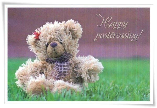 bear_happy postcrossing.jpg