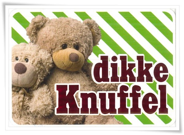 dikke knuffel.jpg