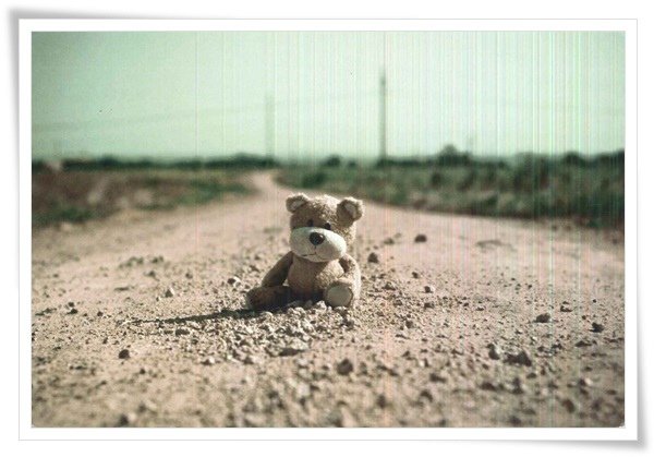 happy card_teddy sat on the road.jpg