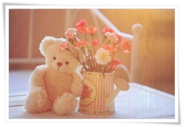 teddy bear and flowers.jpg