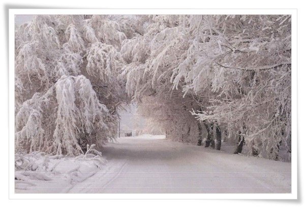 tunnel of snow.jpg