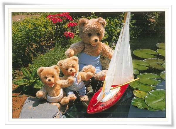 teddy family in the pond.jpg