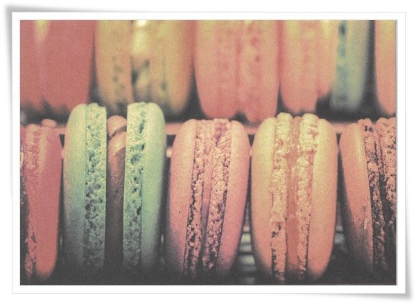 macaron