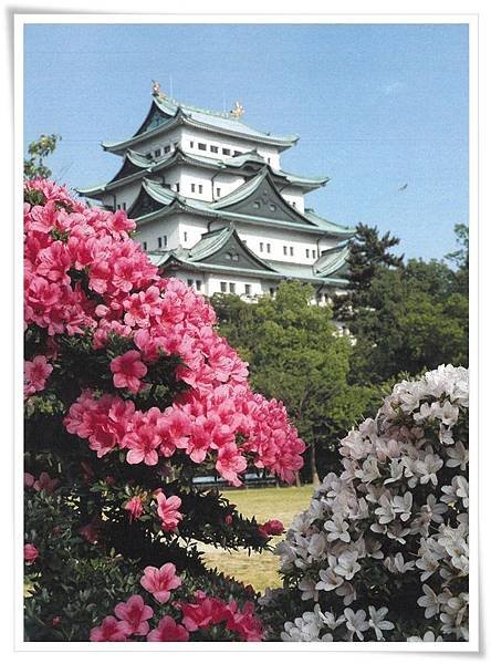 nagoy castle with azaleas.jpg