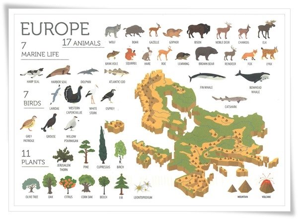 fauna and flora of europe.jpg