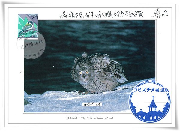 &lt;&lt;北海道&gt;&gt;Hokkaido:The &quot;Shima-fukurou&quot;owl