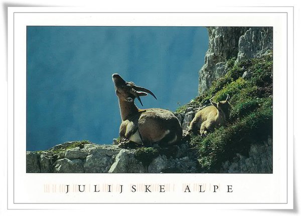 julijske alpe.jpg