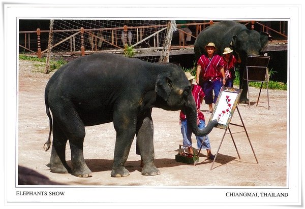 Elephants show.jpg