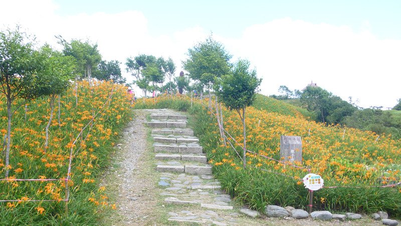 P1110600_副本.jpg