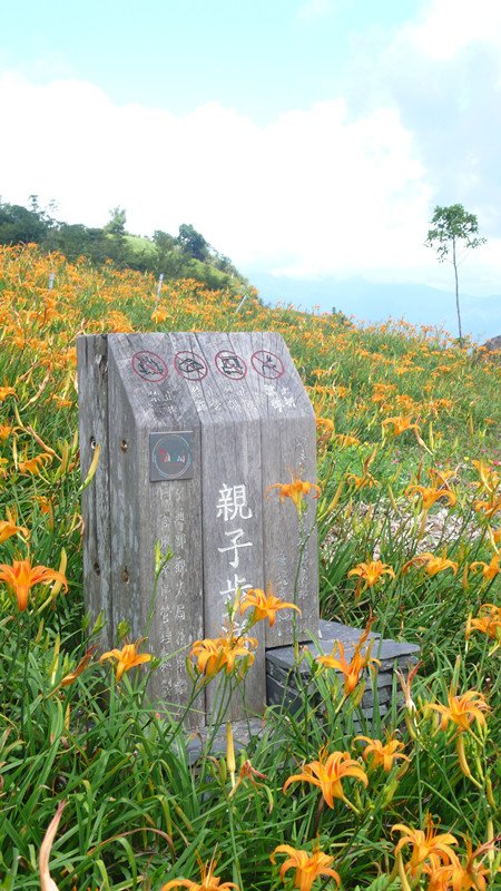 P1110602_副本.jpg