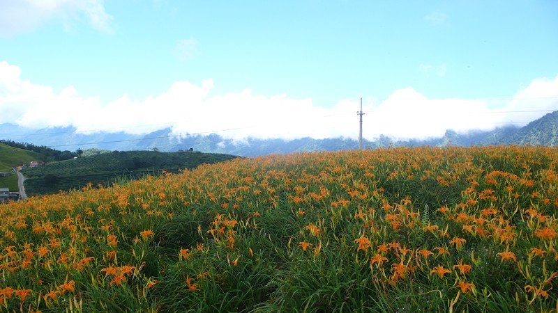 P1110642_副本.jpg