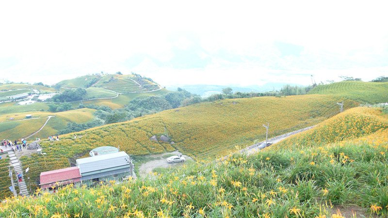 P1110644_副本.jpg