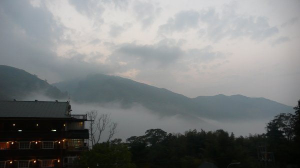 P1150272.jpg