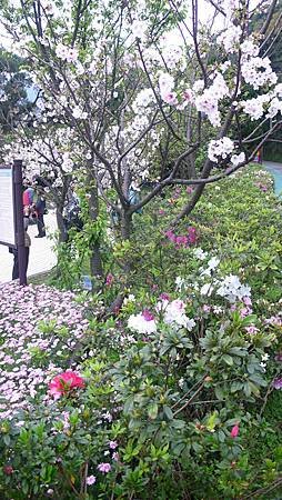 P1150855_副本.jpg