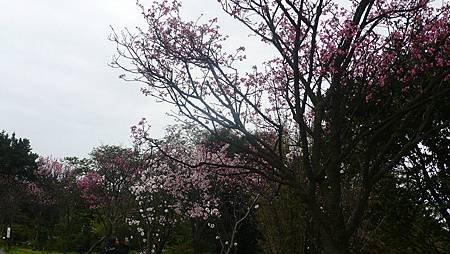 P1150858_副本.jpg