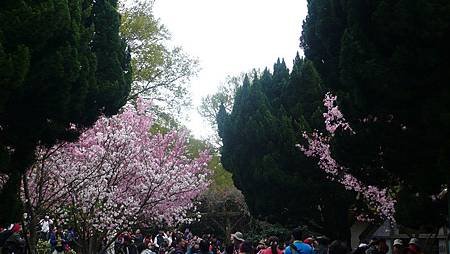 P1150864_副本.jpg