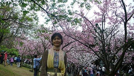 P1150867_副本.jpg