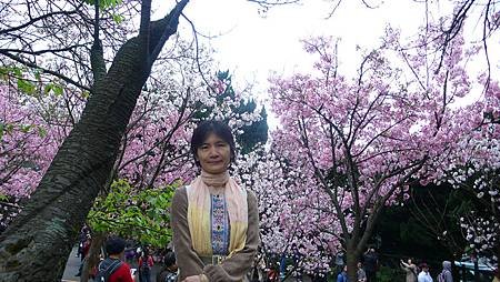 P1150868_副本.jpg
