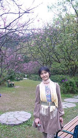 P1150869_副本.jpg