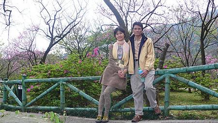 P1150873_副本.jpg
