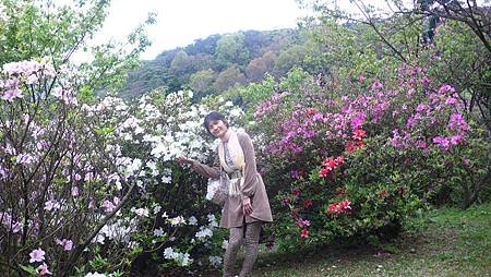 P1150879_副本.jpg