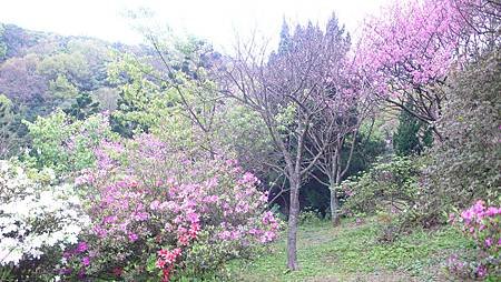 P1150881_副本.jpg