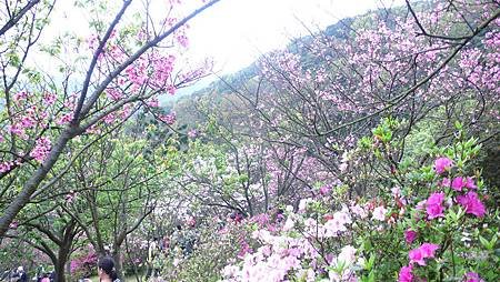 P1150883_副本.jpg