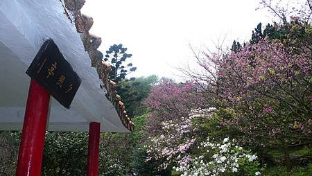 P1150885_副本.jpg