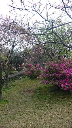 P1150914_副本.jpg