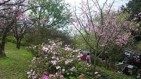 P1150915_副本.jpg