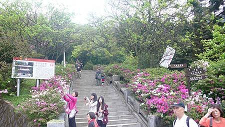 P1150916_副本.jpg
