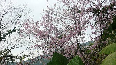 P1150920_副本.jpg