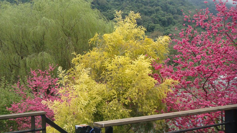 DSC01313_副本.jpg