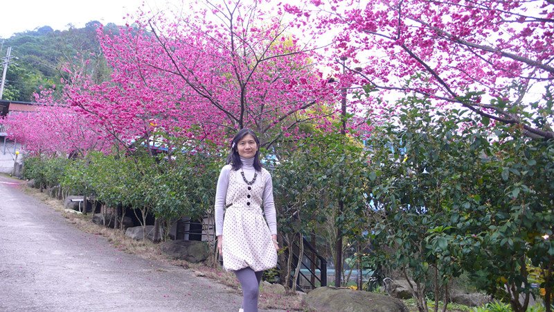 P1050951_副本.jpg