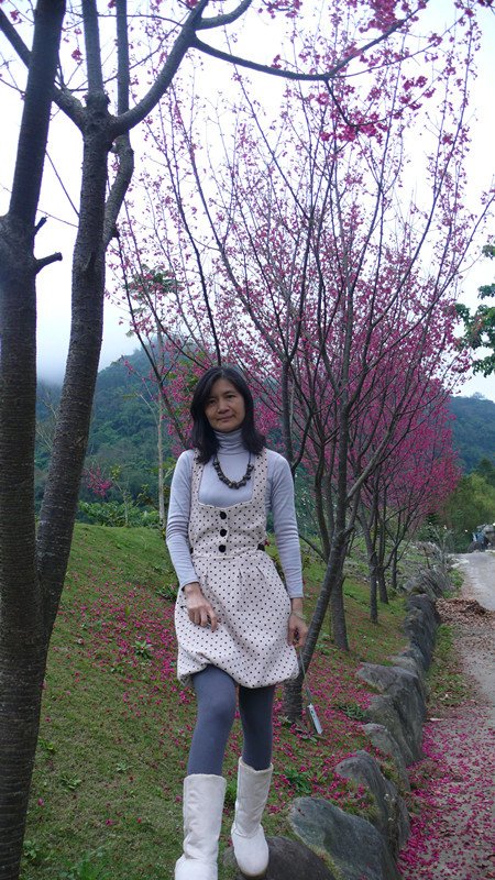 P1050957_副本.jpg