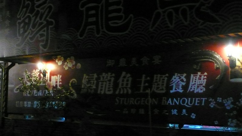 P1050976_副本.jpg