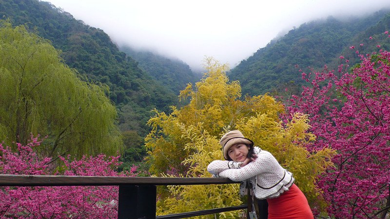 P1050997_副本.jpg