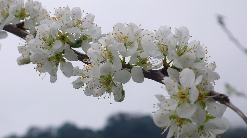 P1060023_副本.jpg