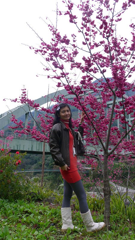 P1060049_副本.jpg