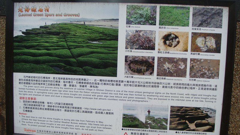 DSC04236_副本.jpg
