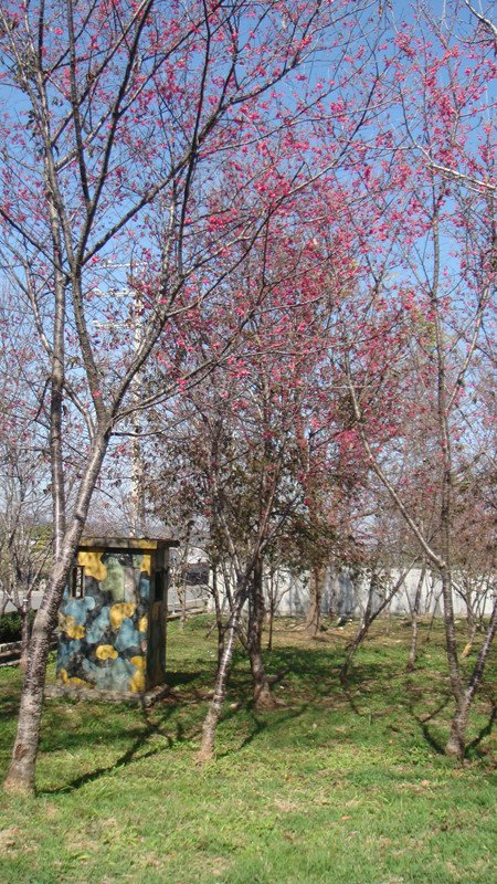 DSC08943_副本.jpg